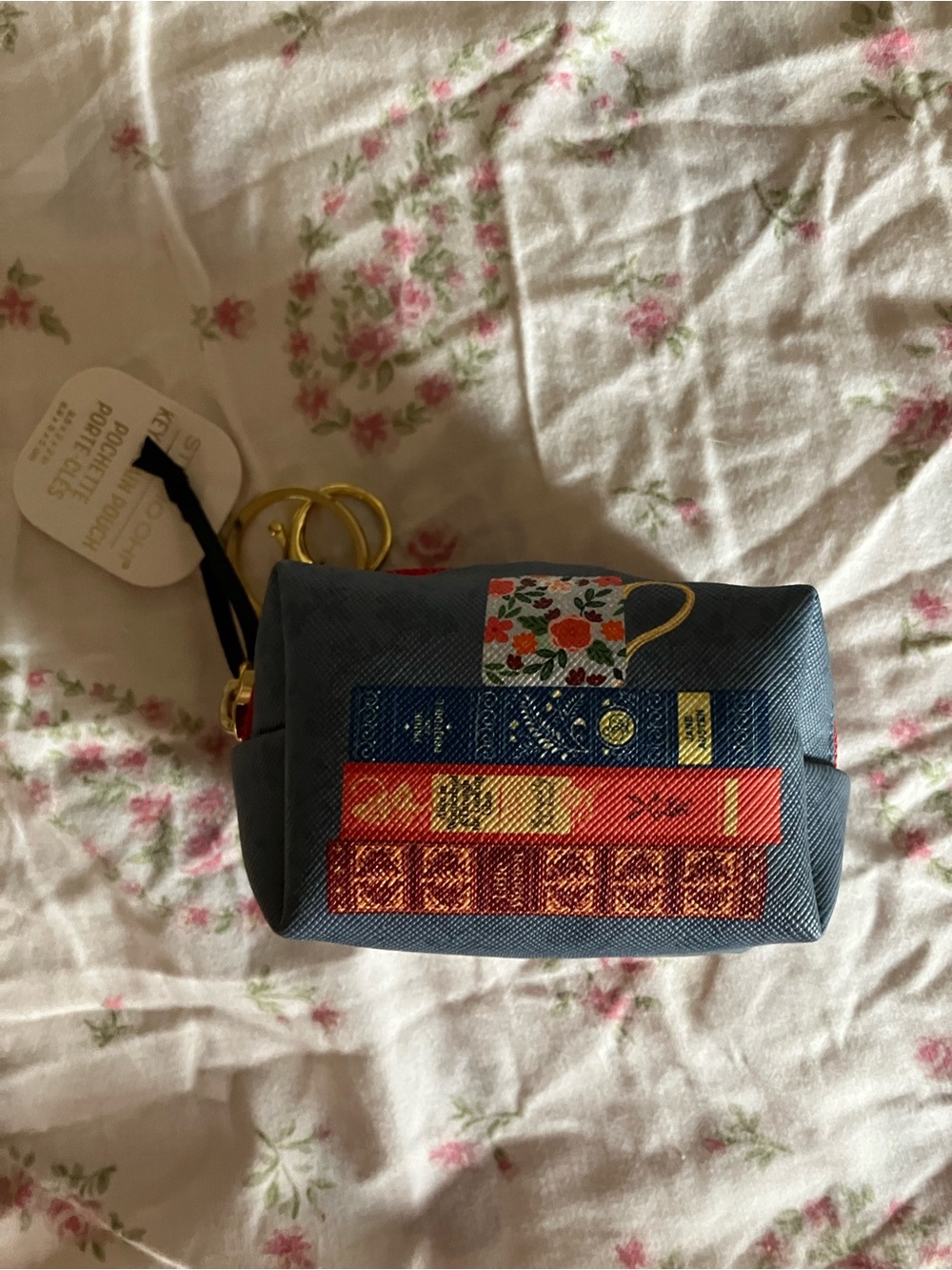 NWT key pouch 👝 classic novels pride and prejudice, Alice and wonderland